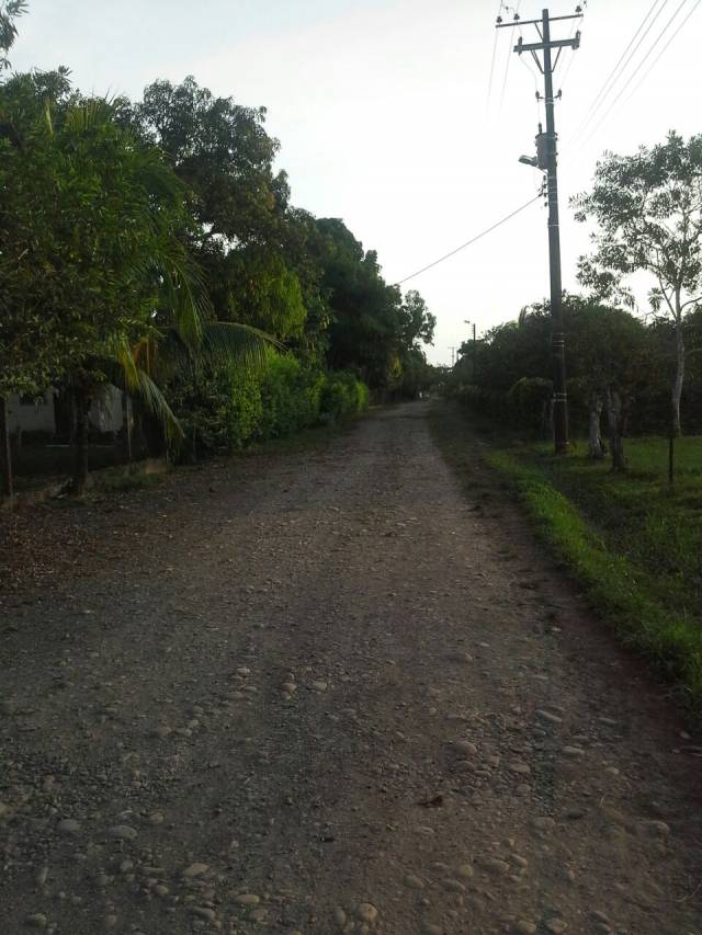 VENDO FINCA CON PASTOS