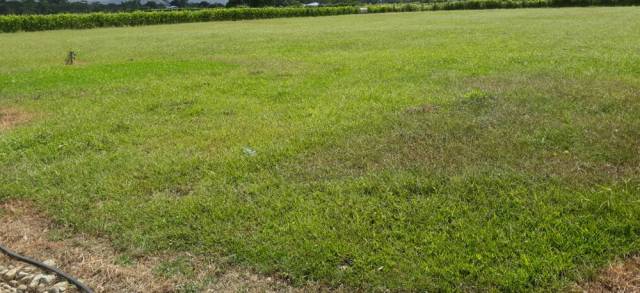 VENTA LOTE CAMPESTRE CERCA AL CENTRO DE ACACIAS