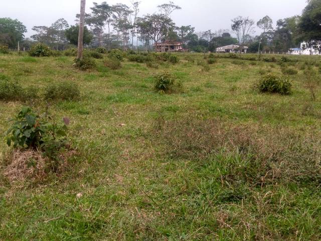 VENTA DE FINCA CAMPESTRE EN RESTREPO - META