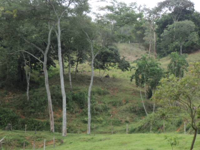 LOTE EN VENTA JAMUNDÍ RESERVAS DE RÍO CLARO