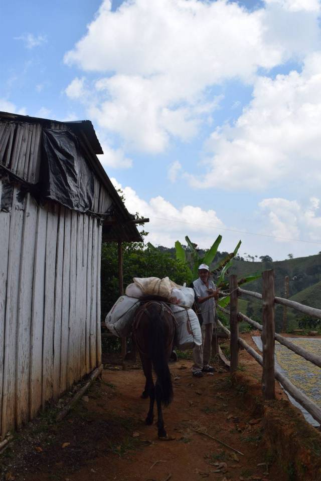 Finca de Permacuidado La Vida. 5 Has con nacimientos de agua y bosque nativo.