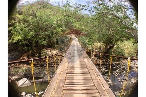 Finca Agrícola y Ganadera en Venta