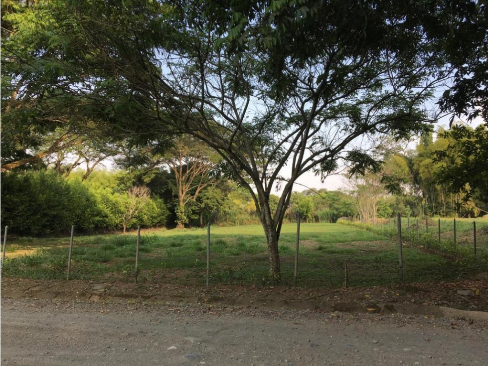 Lote en venta en parcelación océano verde