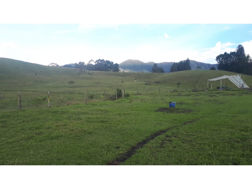 Lote en Venta Rionegro (Via San Antonio - La Ceja)