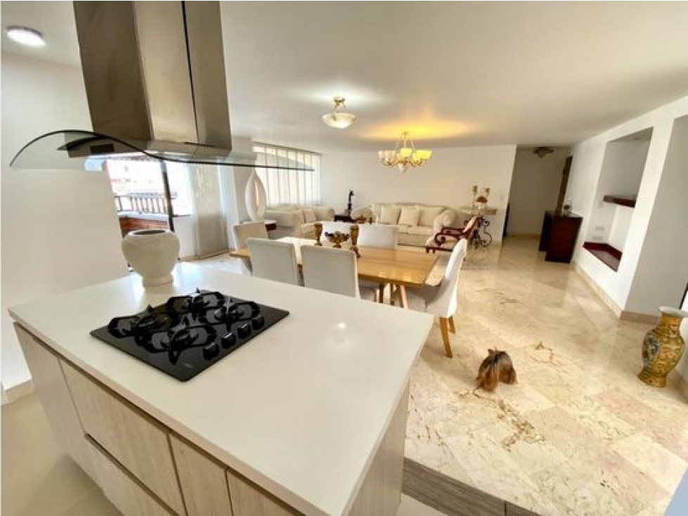 APARTAMENTO REMODELADO DUPLEX EN ALEJANDRIA