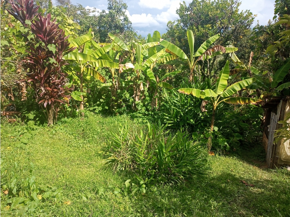 Busco finca entre 3 a 4 fanegadas en Combita