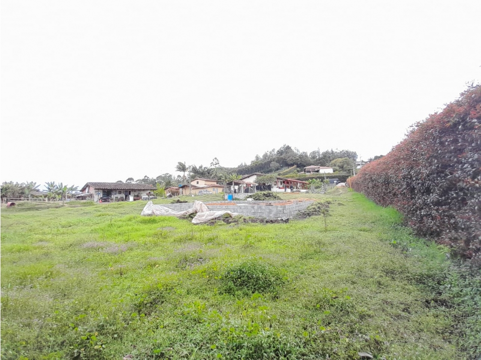 Venta de lote en Rionegro Antioquia