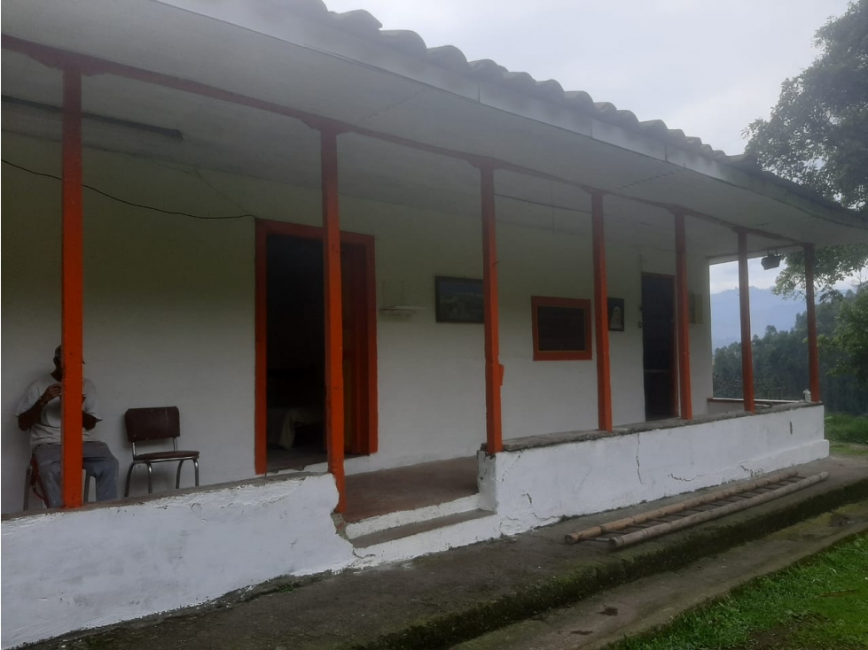 Venta  Finca Sector Villmaria Manizales; Cod 4876804