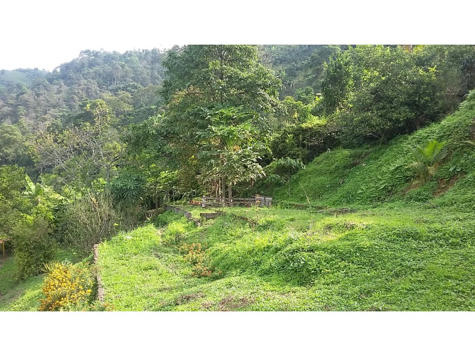 Venta finca La Cabaña, Manizales, CÓD 542808