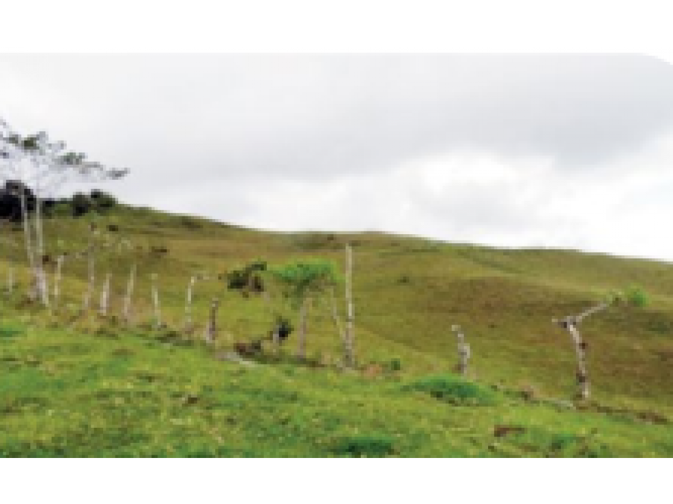 Lote rural Turín - Campoalegre, Versalles - Valle del Cauca