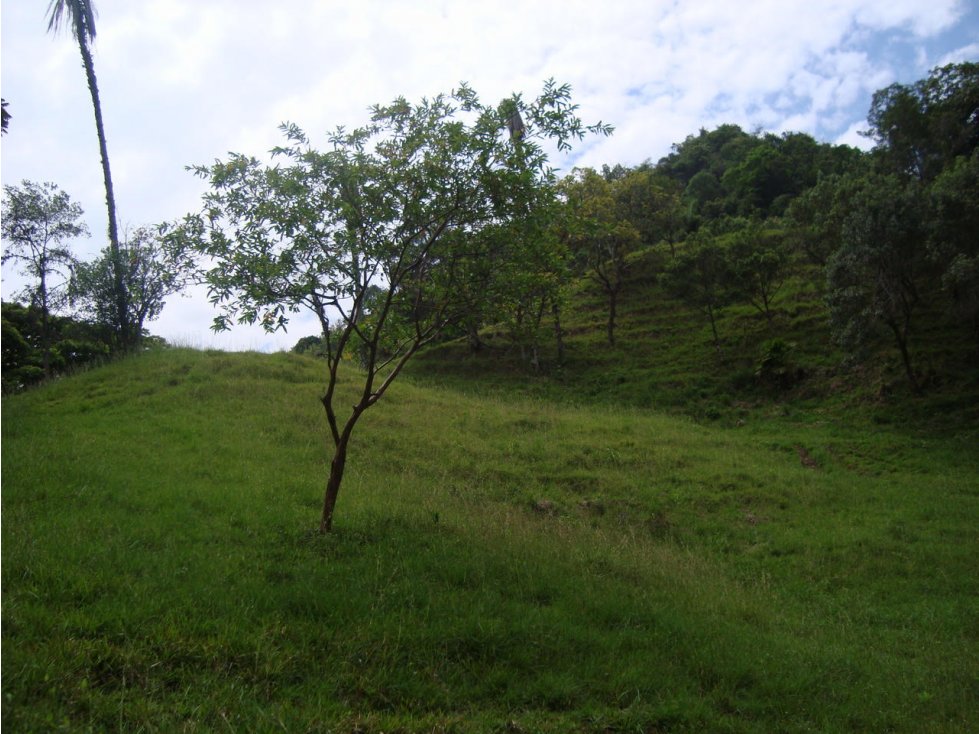 VENTA LOTE LA PINTADA, SUROESTE ANTIOQUEÑO UNIDAD CERRADA