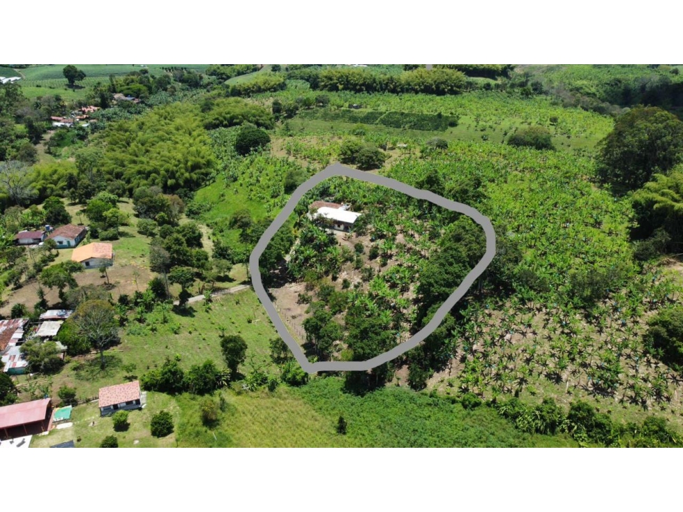 VENTA  OPORTUNIDAD DE FINCA EN RIO NEGRO QUINDIO