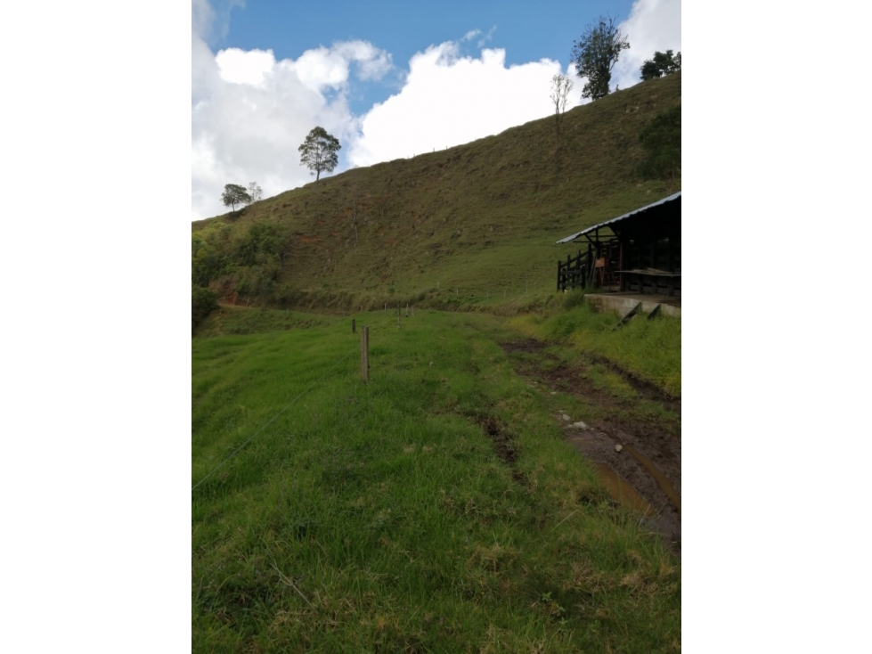 Venta de finca en Cajamarca