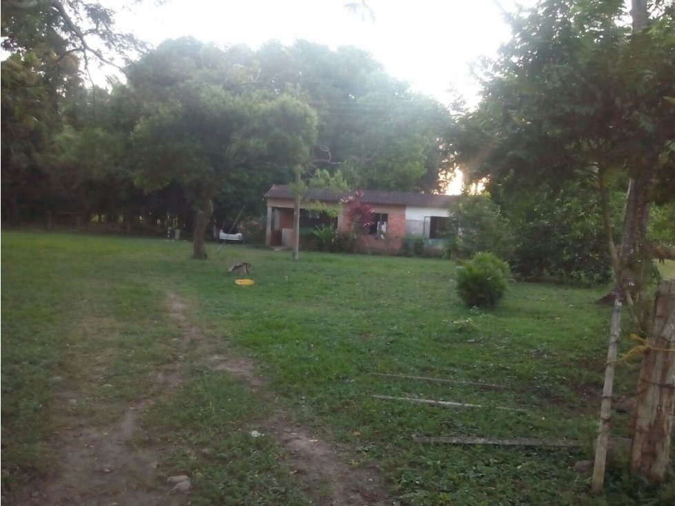 Finca 42Ha