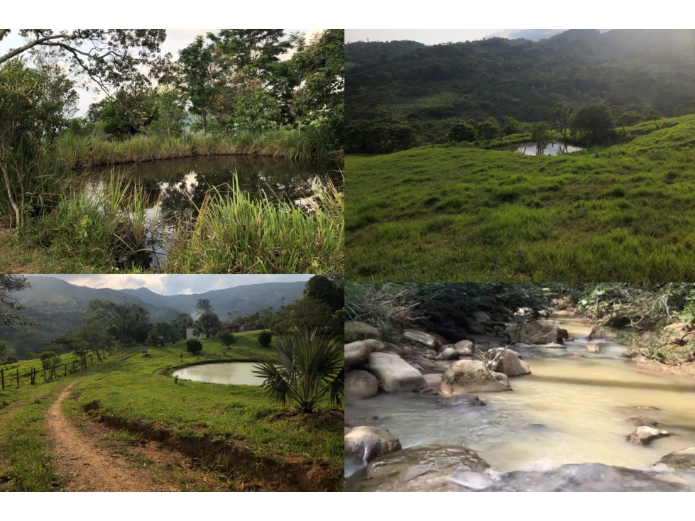 HERMOSA FINCA EN MUNICIPIO DE GUADUAS CUNDINAMARCA VEREDA DE LAJITAS.