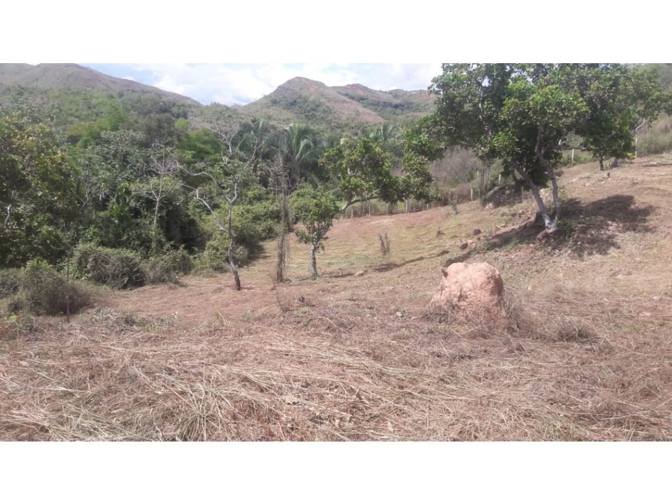 Lote campestre para la venta en Melgar con uso mixto