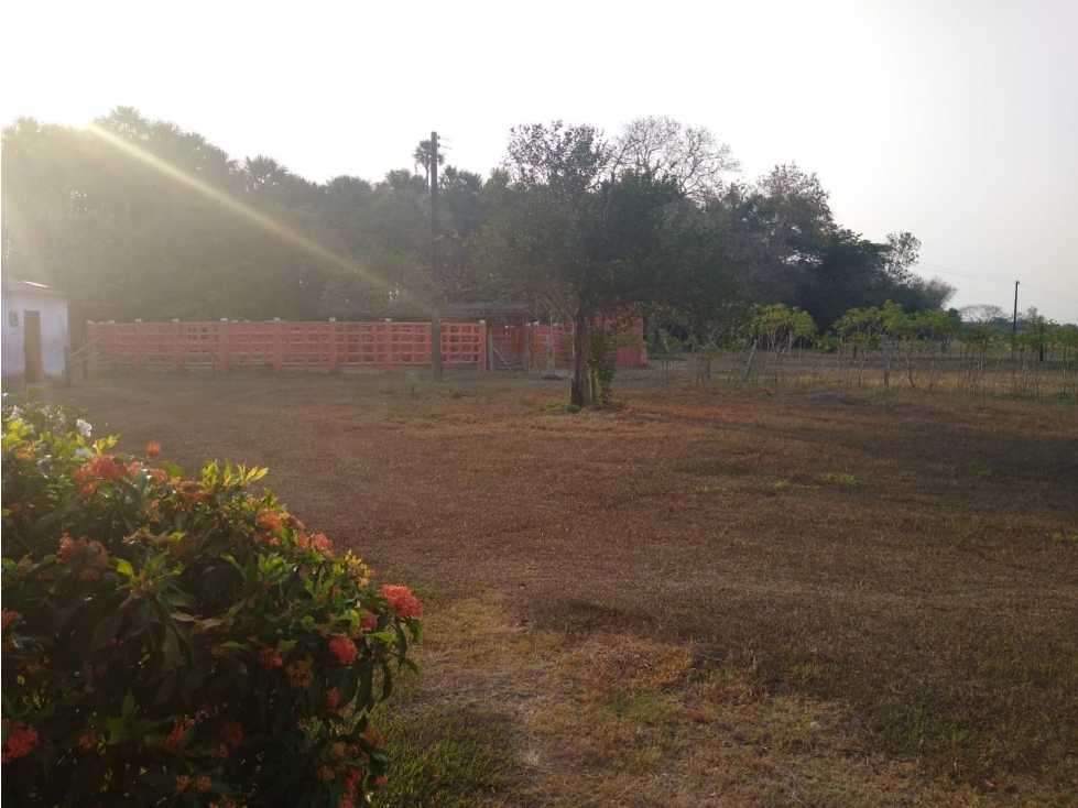 SE VENDE FINCA TACARIMENA YOPAL CASANARE