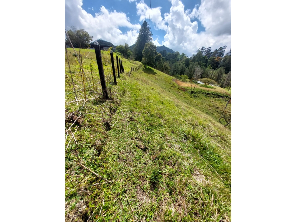 Venta de finca  en vereda el Capiro  Rionegro Antioquia