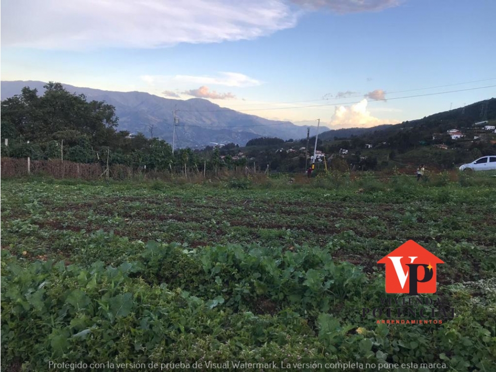 VENTA LOTE SAN ANTONIO DE PRADO VEREDA POTRERITO
