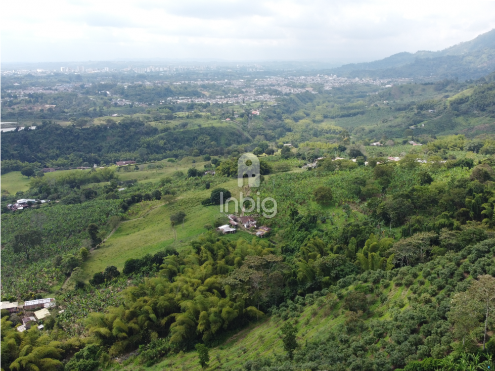 VENTA DE FINCA EN LA VIRGINIA, CALARCÁ