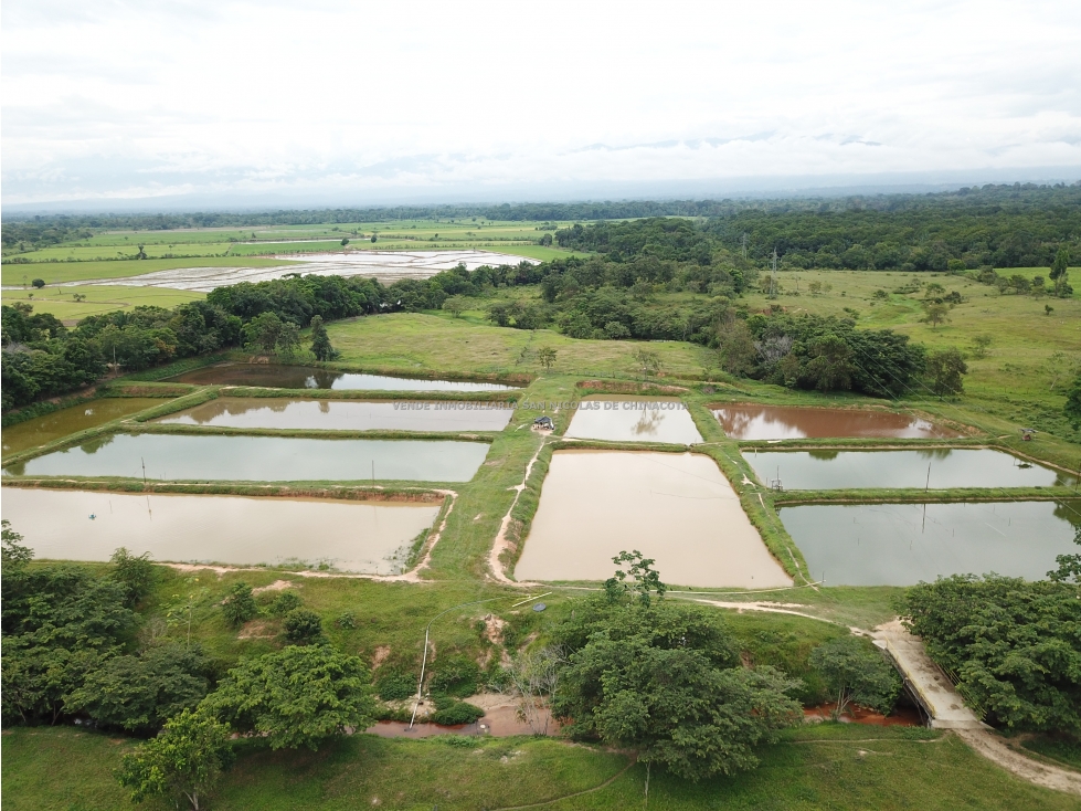 VENDO FINCA EN CUCUTA