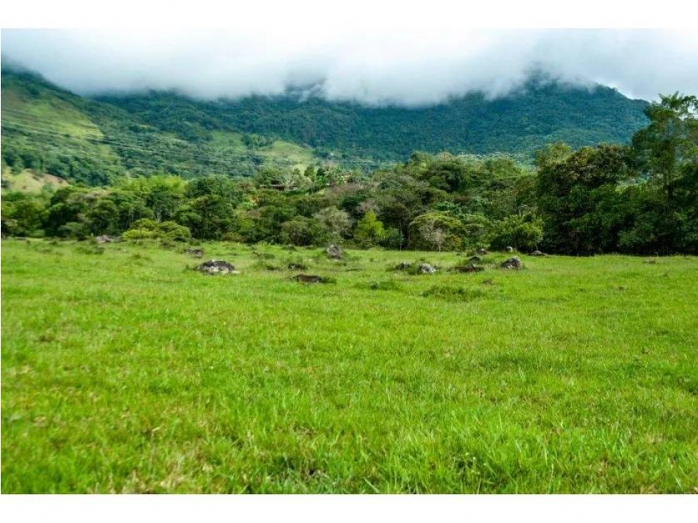 VENDO FINCA DE 370 HECTÁREAS EN SAN CARLOS VEREDA PATIO BONITO