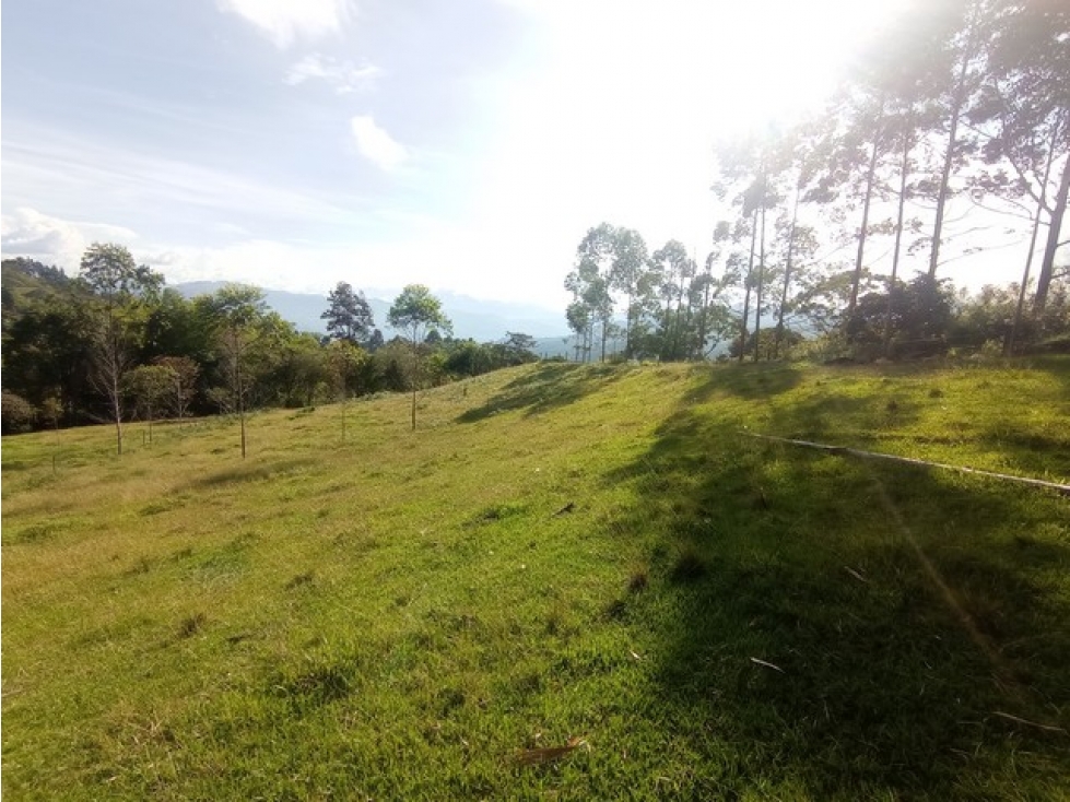 VENDO LOTE DE 9,8 CUADRAS EN FREDONIA PARA CULTIVOS O FINCA GANADERA