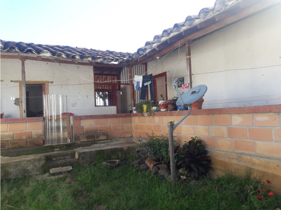 FINCA MEDIANA APTA PARA PARCELAR EN BETANIA