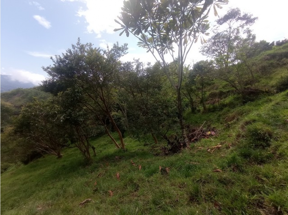 VENDO LOTE DE 14 CUADRAS CON HERMOSA VISTA EN VENECIA VEREDA PALENQUE
