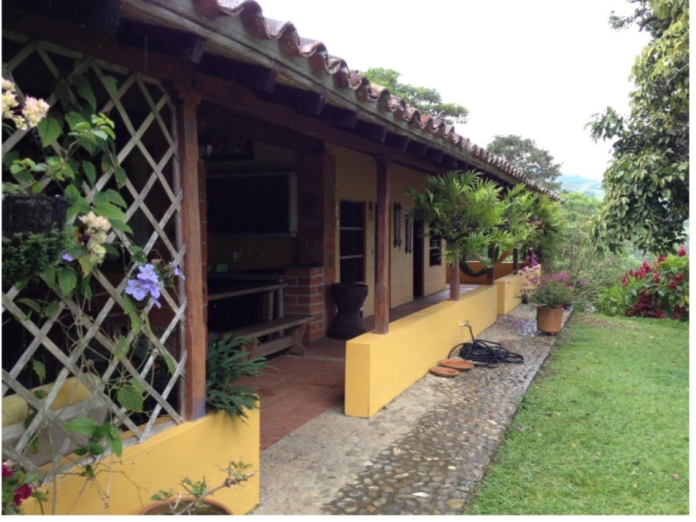 VENDO FINCA DE 32 CUADRAS GANADERA EN FREDONIA VÍA PUENTE IGLESIAS