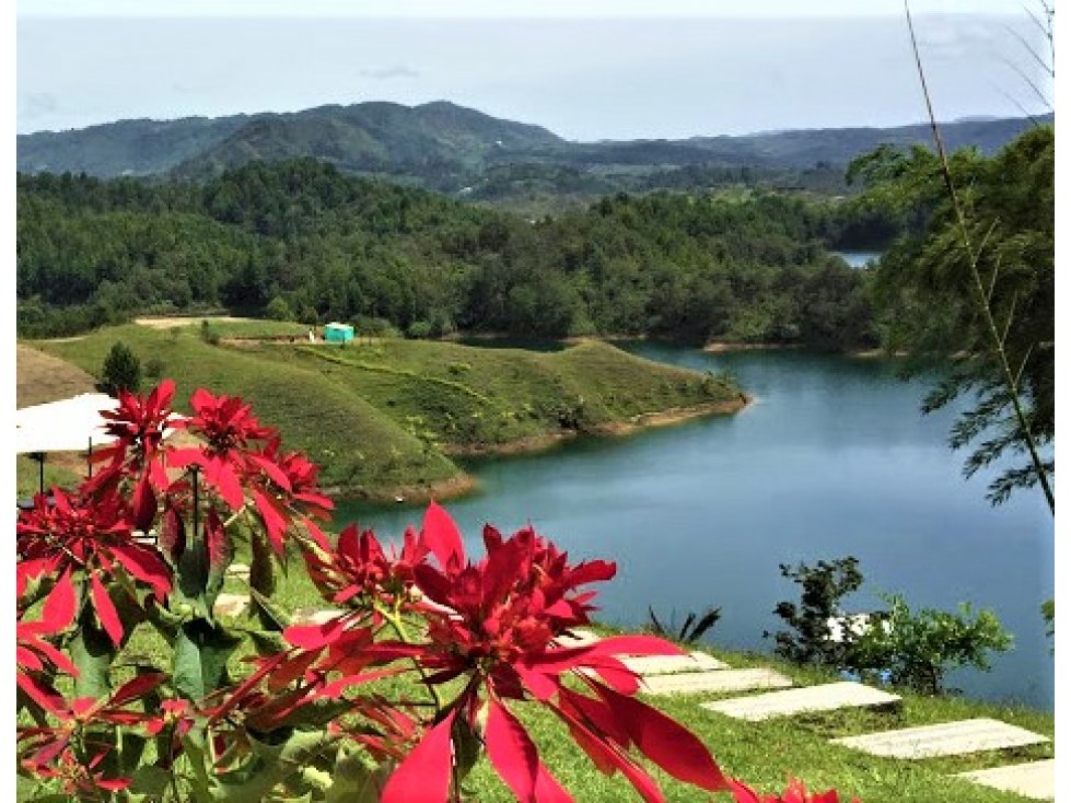 VENDO LOTE EN MEDIO DE RESERVA GUATAPE EL PEÑOL