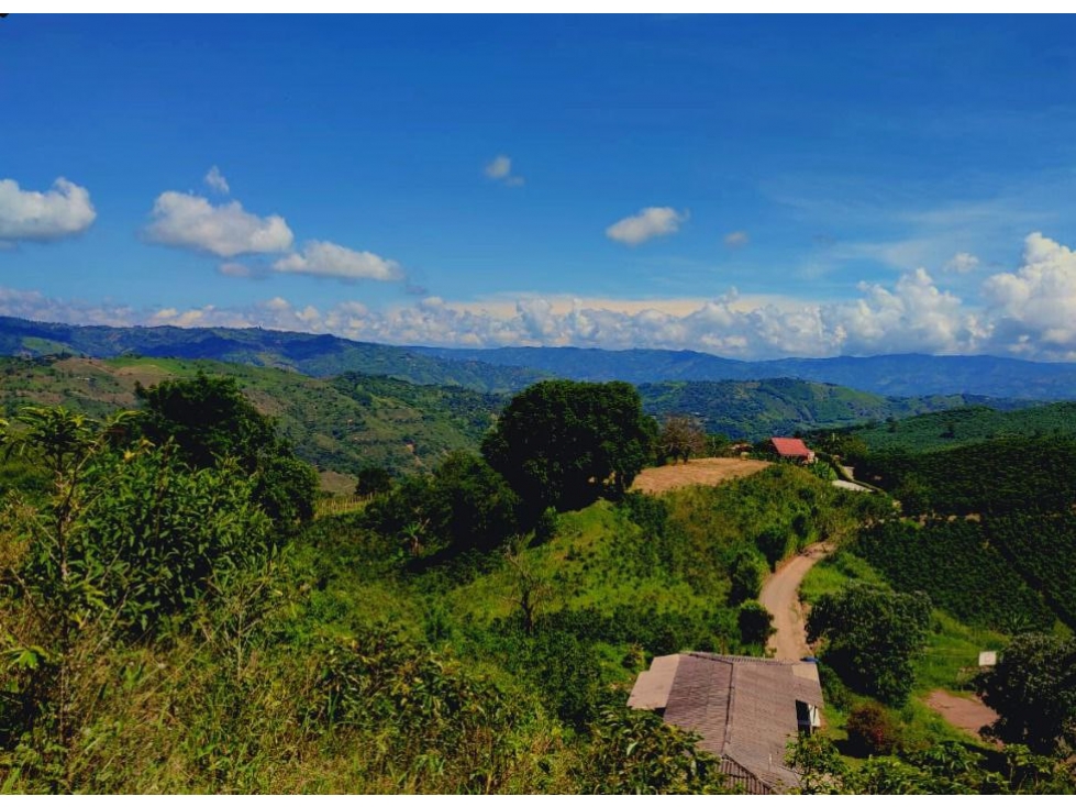 VENTA LOTE PALESTINA, MANIZALES