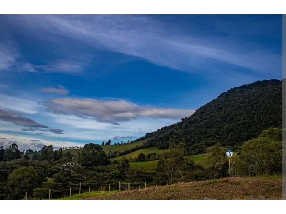 Venta de Lotes en La Ceja