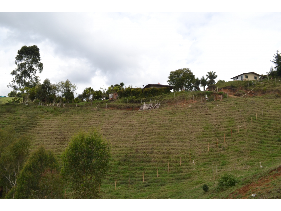 SE VENDEN LOTES EN PARCELACION SAN VICENTE FERRER DESDE 140 MILLONES