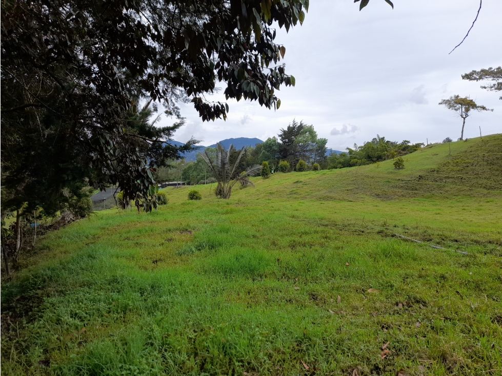 Lote en venta, Vereda El Guaimito  en La Ceja,