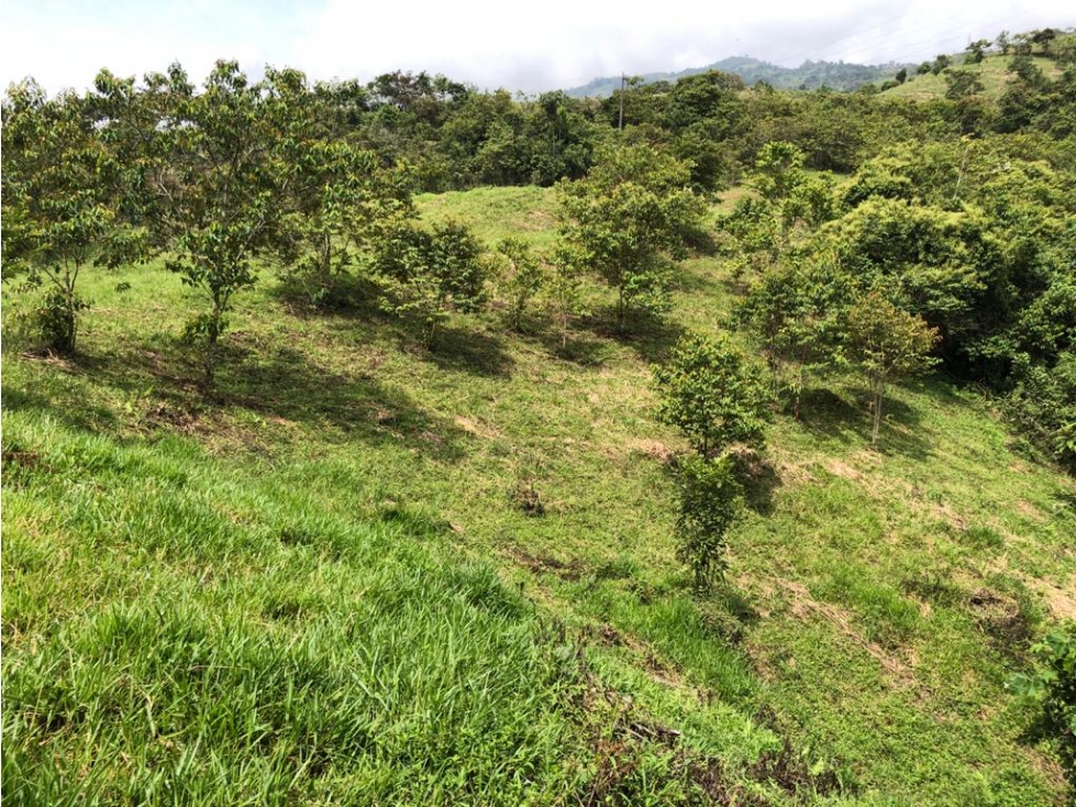 Lote en Parcelación En Popalito 15.520 m² Barbosa Antioquia