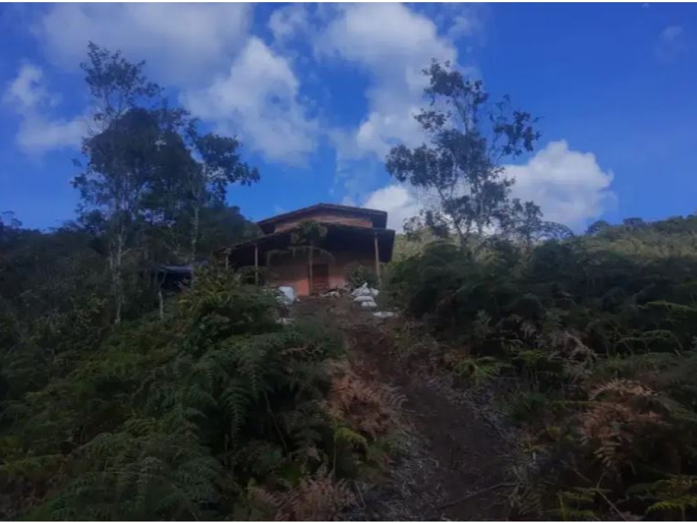 Venta de Finca Vereda Yarumal Abejorral