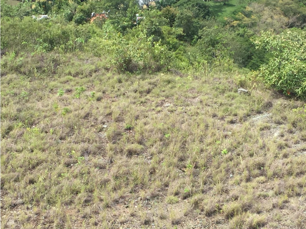 Vencambio Lote Sector Vereda El Espinal Santa Fe de Antioquia