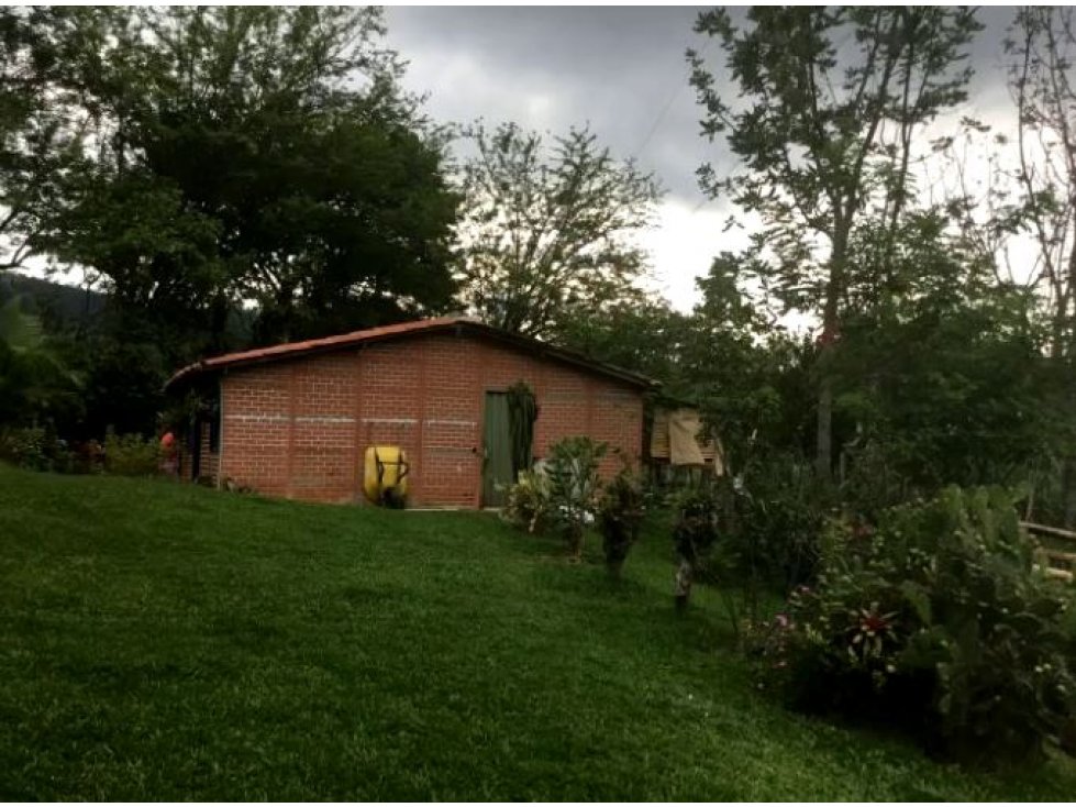 Venta de Finca Vereda El Recreo Venecia Antioquia 