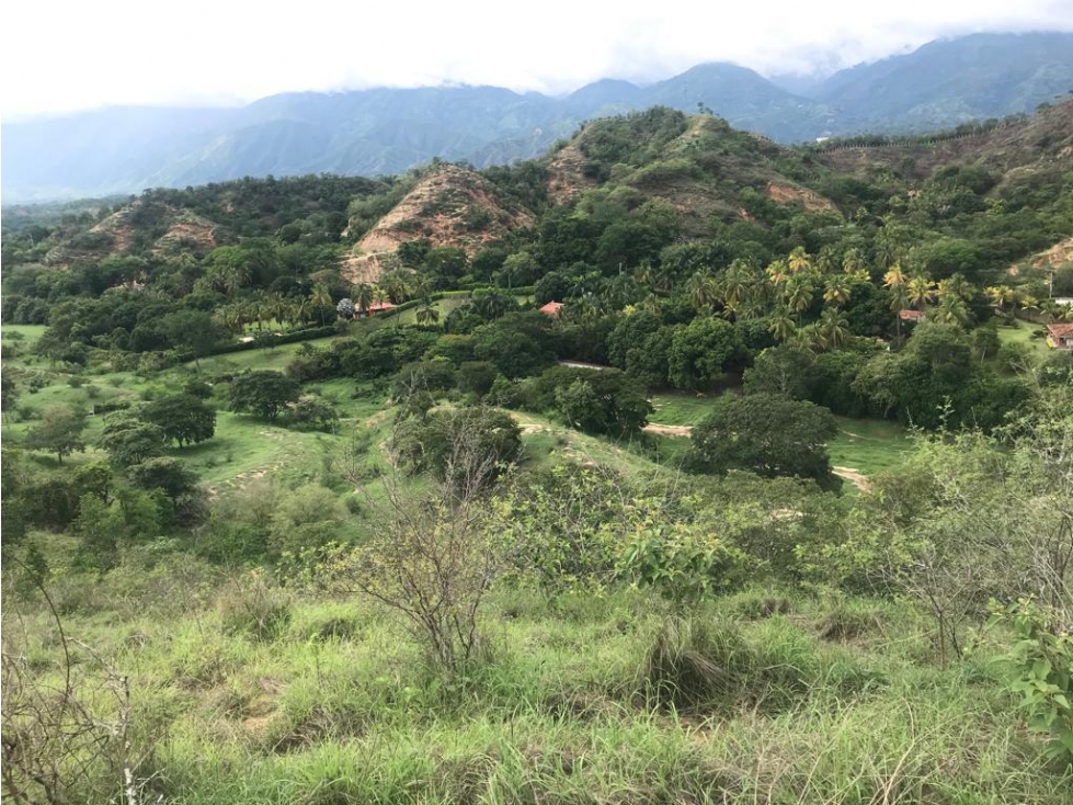Venta de Lote #6 Sector Vereda Guaymaral Sopetran