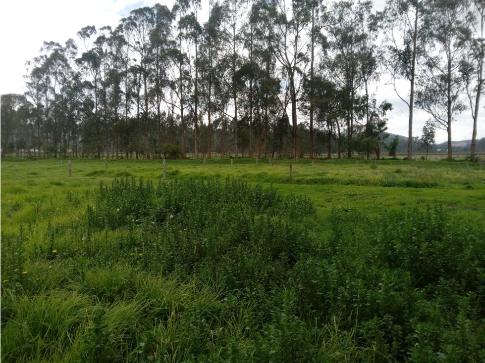 FINCA EN VENTA MADRID CUNDINAMARCA