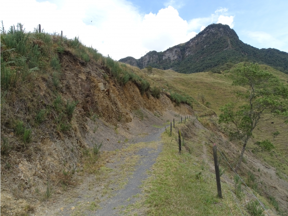 4,5 Hectáreas uso Agrícola - Negrete, Pacho, Cundinamarca.