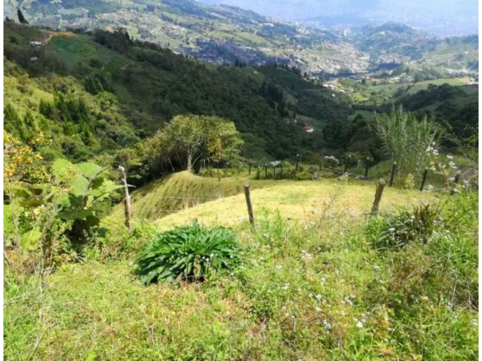 Venta de Finca de 17 Hectáreas en Negrete perfecta para parcelamiento