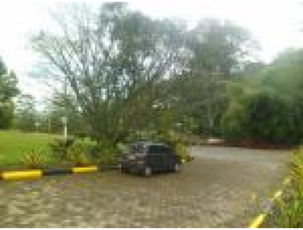 Vendo finca en Llano grande