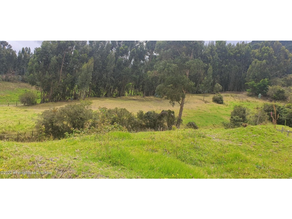 Lote en  Vereda Rio Frio(Tabio) RAH CO: 23-225