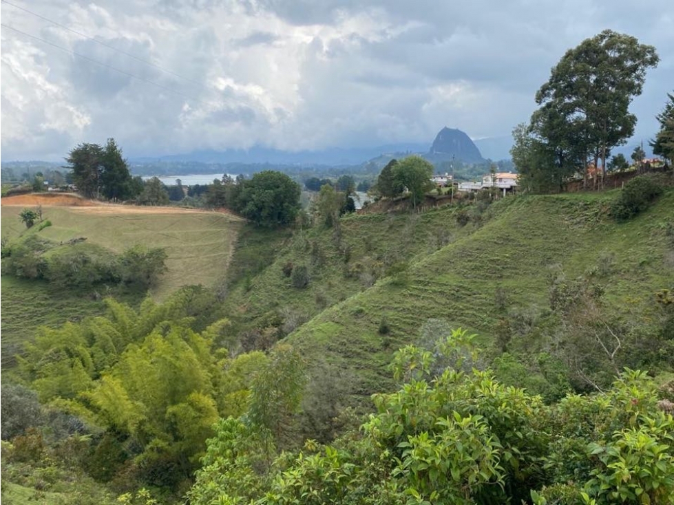 VENTA DEL LOTE VEREDA EL MORRO GUATAPÉ