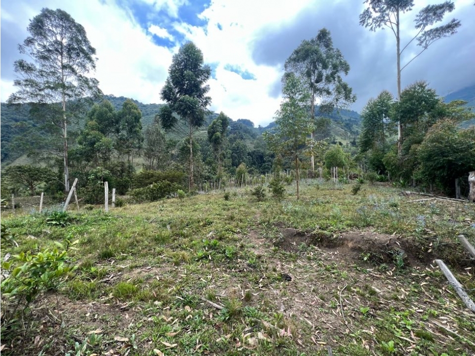VENTA FINCA COSTA RICA CERCA DE GINEBRA VALLE  CCH W6801871