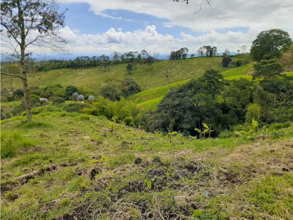 Finca en calarca para la venta 63 cuadras espectacular  vista