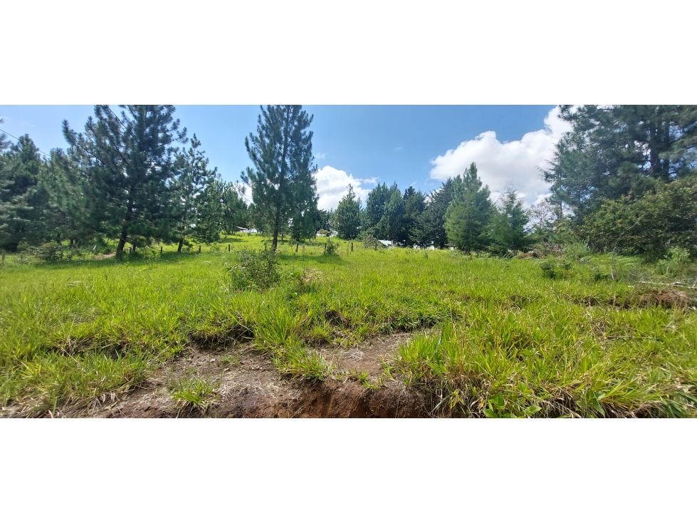 VENTA LOTES EN PARCELACION LOS PINOS -CAJIBIO - POPAYAN