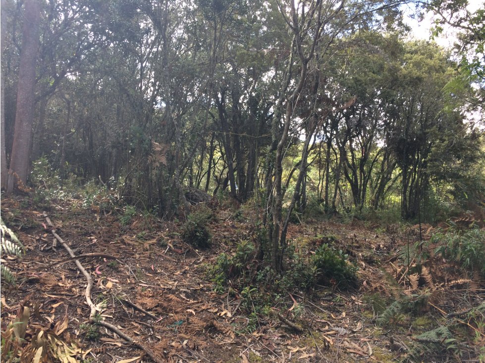 Lote en Chía Yerbabuena